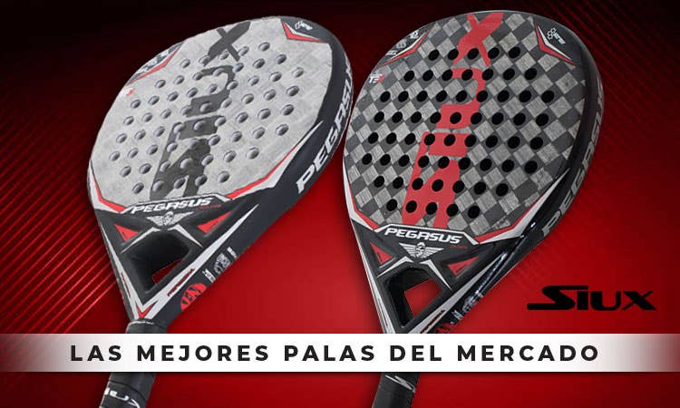 Siux Pegasus Grafeno
